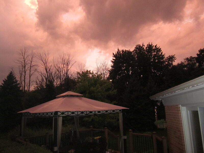 Gazebo in Backyard