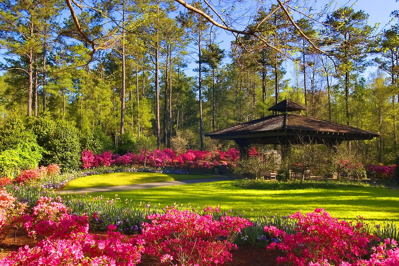 Gazebo in Flower Garden — Pink, Serene, Spring