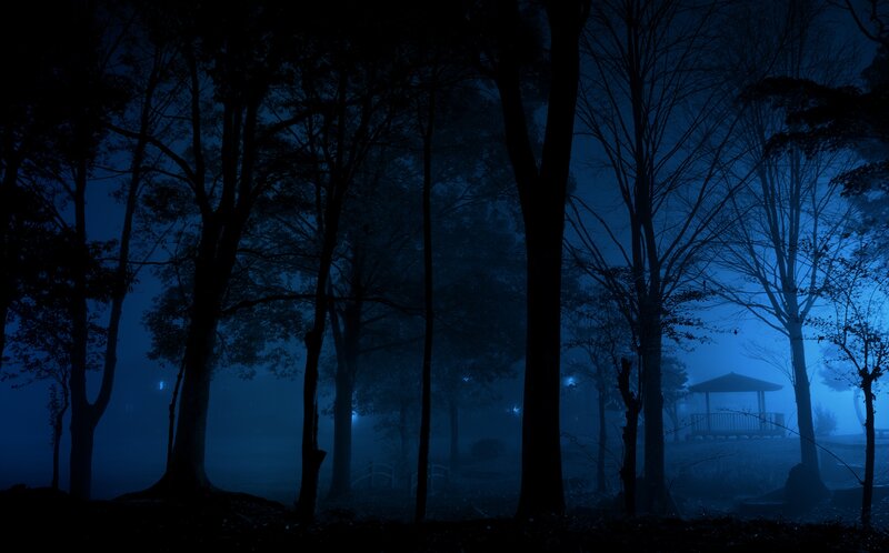 Gazebo in Foggy Forest