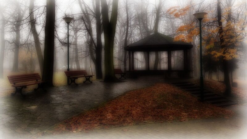 Gazebo in Foggy Park