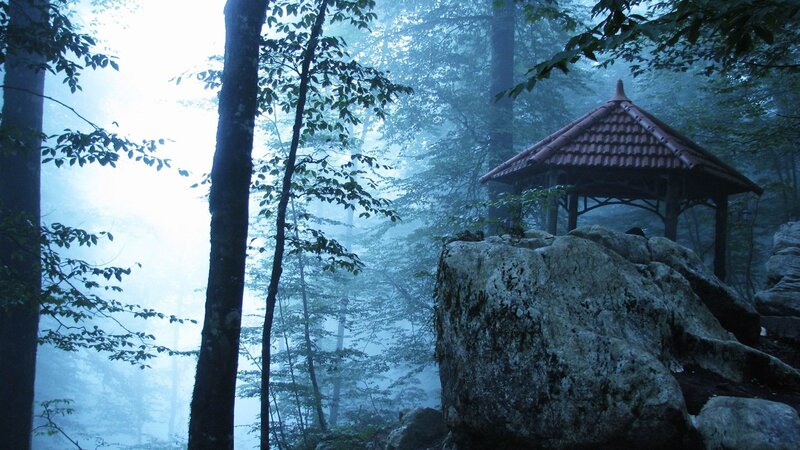 Gazebo in Misty Forest — Blue, Morning