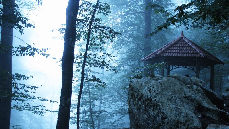 Gazebo in Misty Forest — Blue, Serene