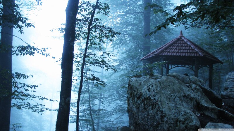 Gazebo in Misty Forest — Blue