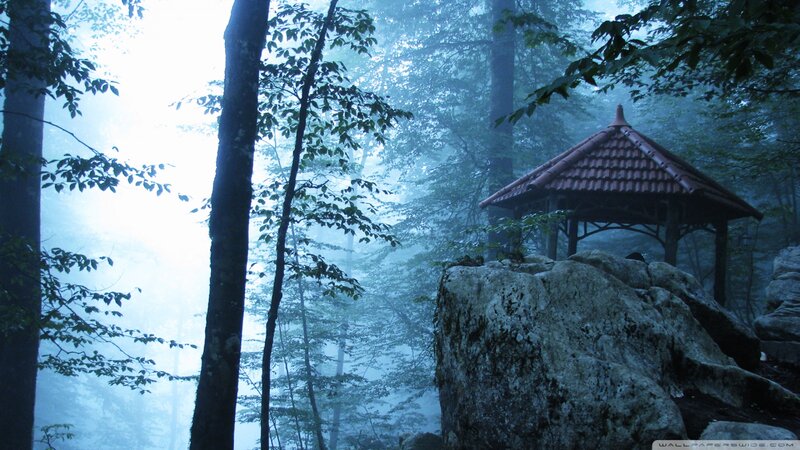 Gazebo in Misty Forest
