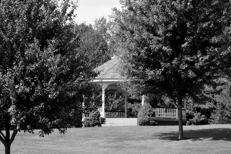 Gazebo in Park — Black