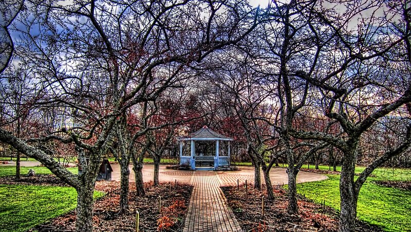 Gazebo in Park — Green, Serene