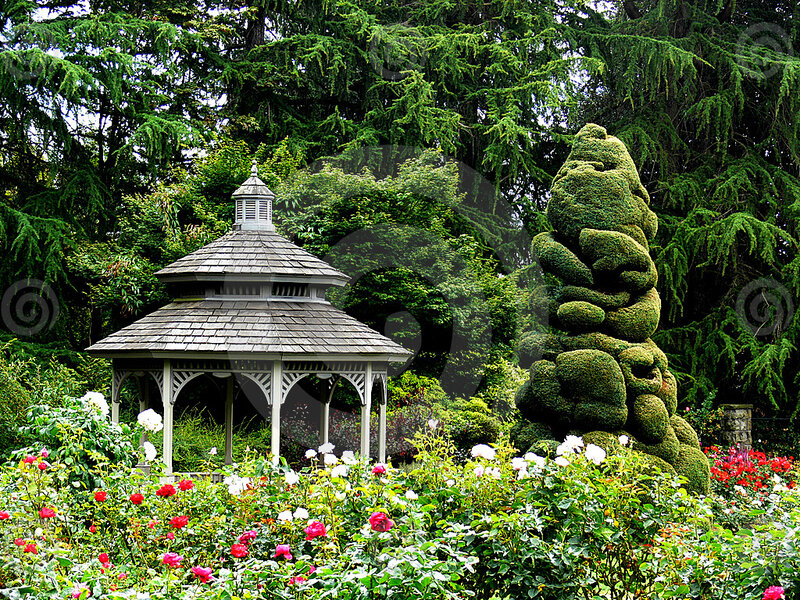 Gazebo in Rose Garden — Green