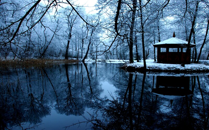 Gazebo in Snowy Forest