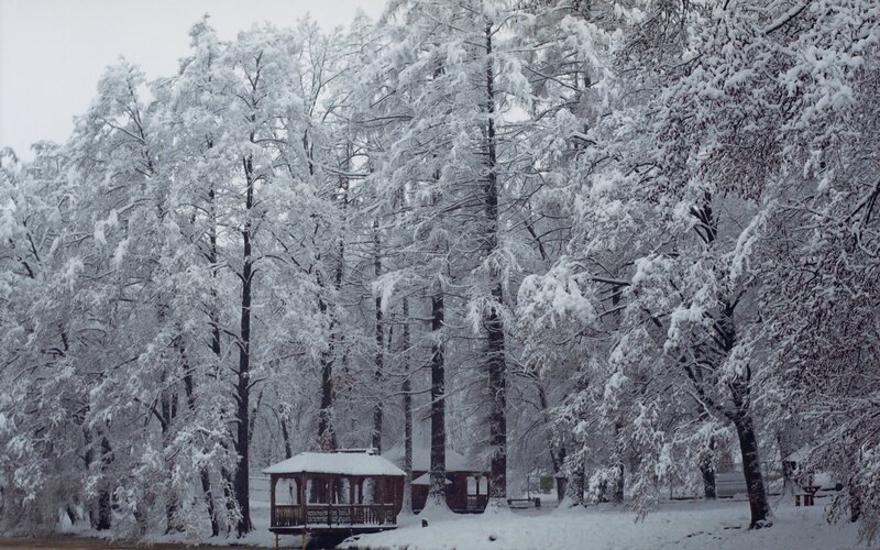 Gazebo in Snowy Forest — White