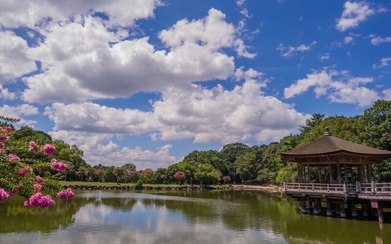 Gazebo on Pond — Blue