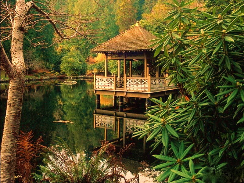 Gazebo on Pond