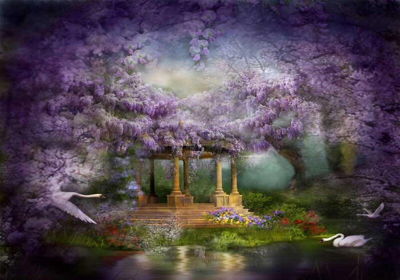 Gazebo under Wisteria — Purple