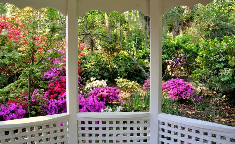 Gazebo with Flowering Bushes