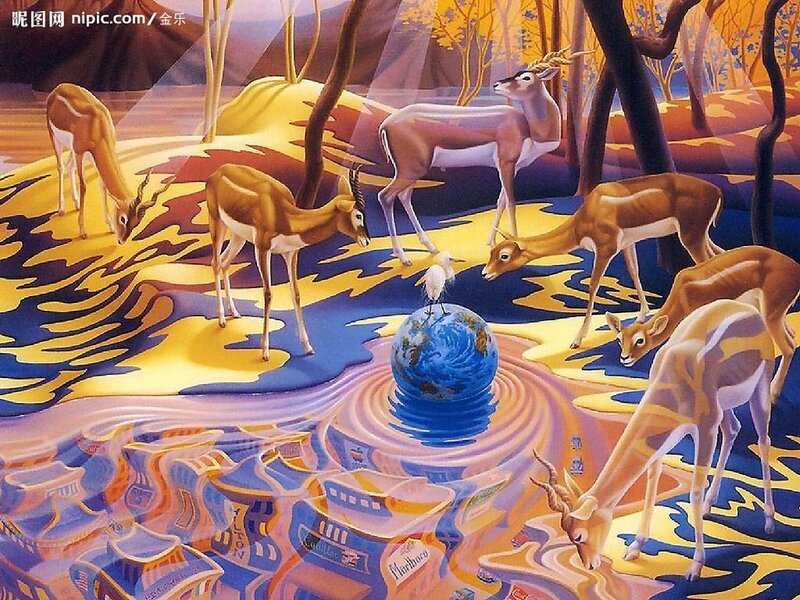 Gazelles Drinking Water