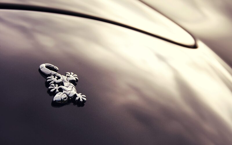 Gecko Emblem on Car
