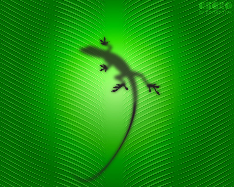 gecko on green leaf