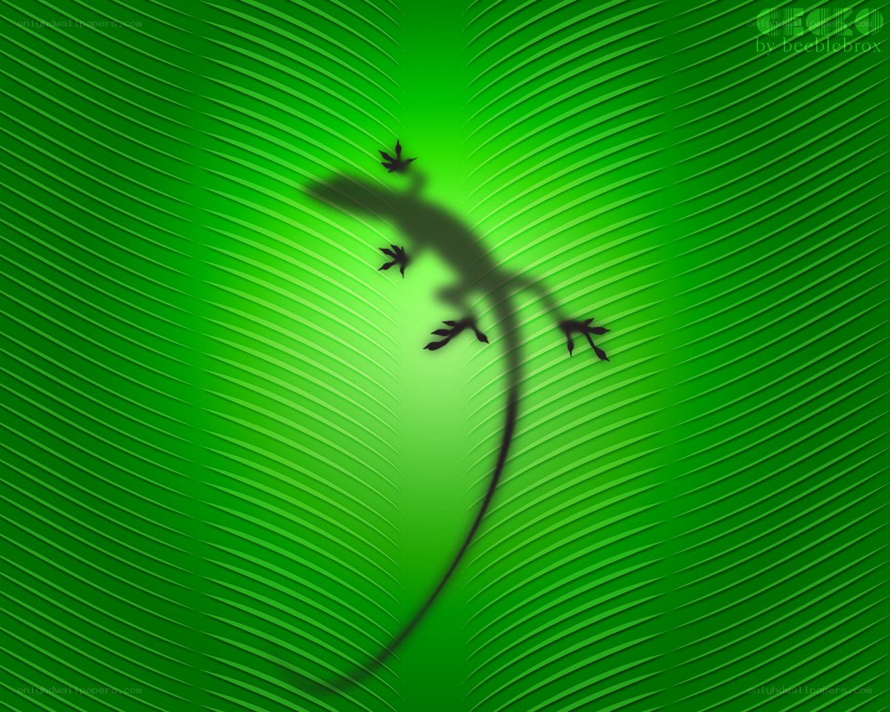 gecko on green leaf