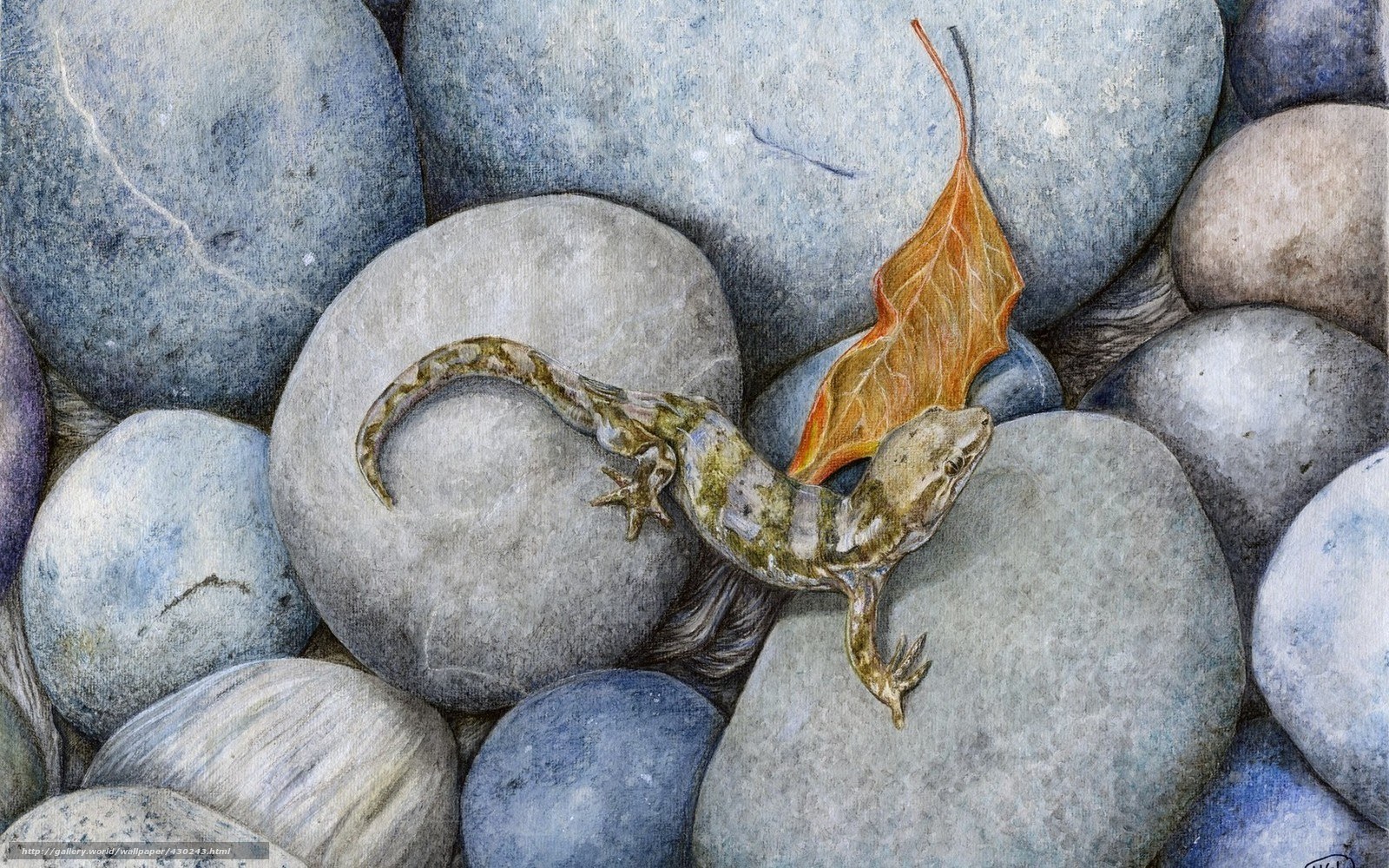 Gecko on rocks with leaf