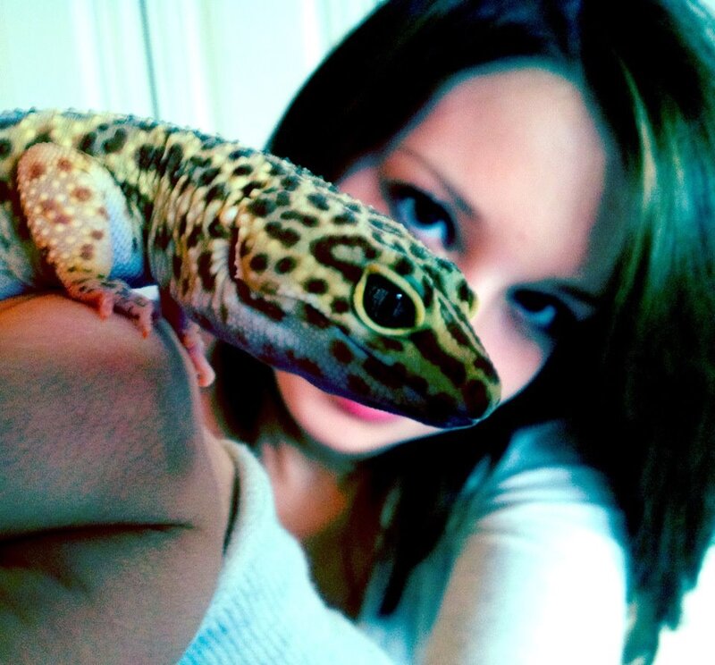 Gecko on Shoulder