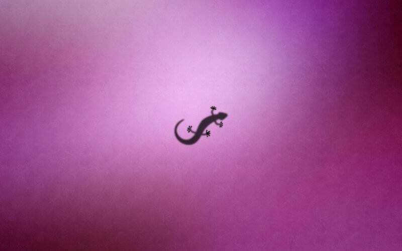 gecko silhouette on purple