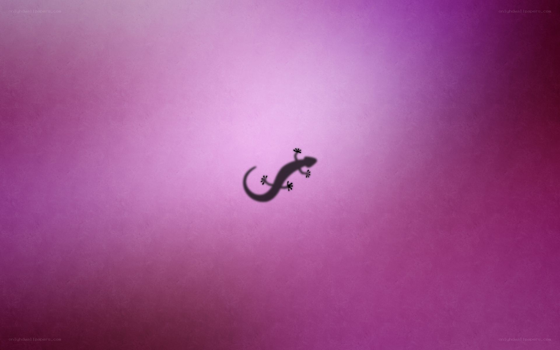 gecko silhouette on purple