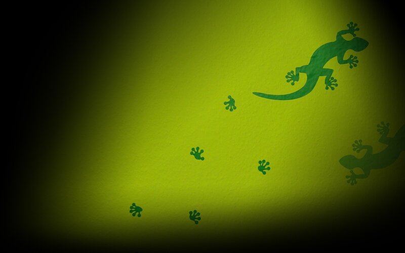 Gecko Silhouettes