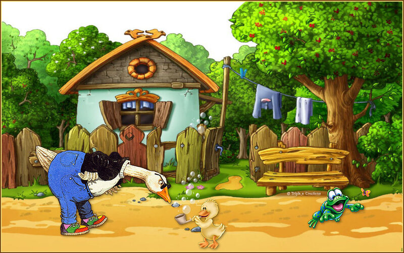 Geese and Duck in Yard