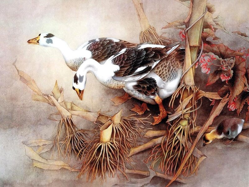 Geese and Goslings — Brown