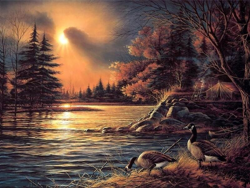 Geese at sunset by the lake
