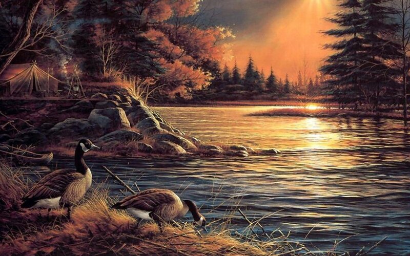Geese by a Lake — Orange, Serene