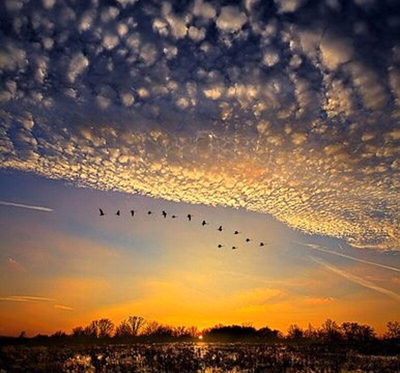 Geese Flying in Formation — Orange, Dramatic, Sunset