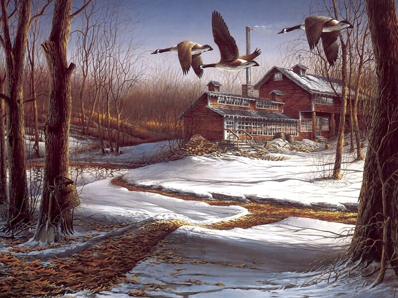 Geese Flying over Cabin