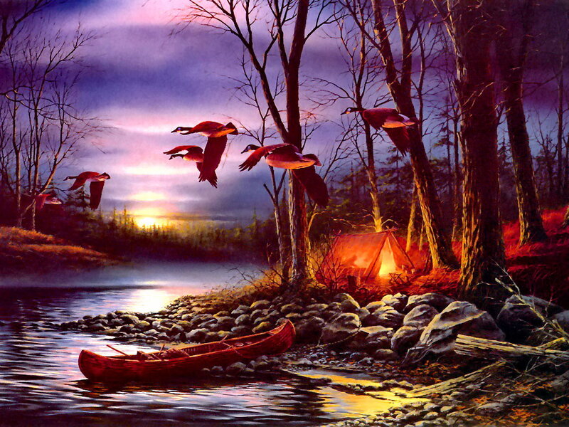 Geese Flying over Campsite