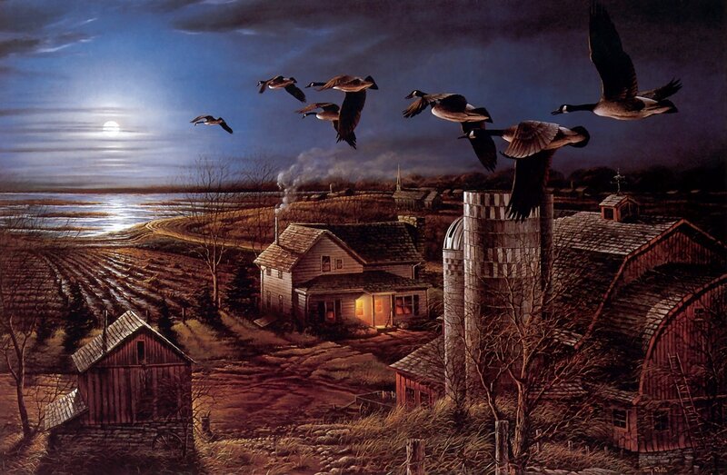Geese flying over farm at night