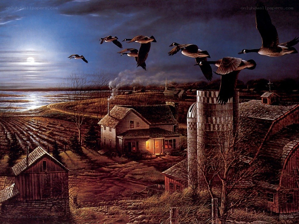 Geese flying over farm at night