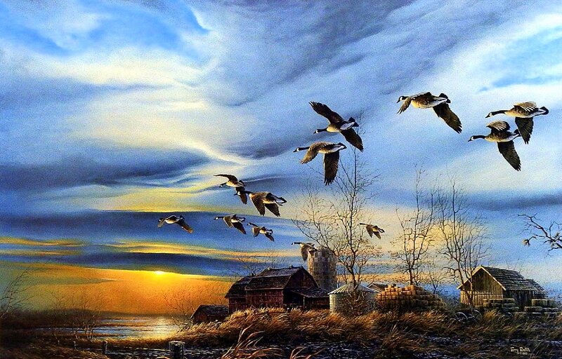Geese Flying over Farm — Blue, Dramatic, Sunset