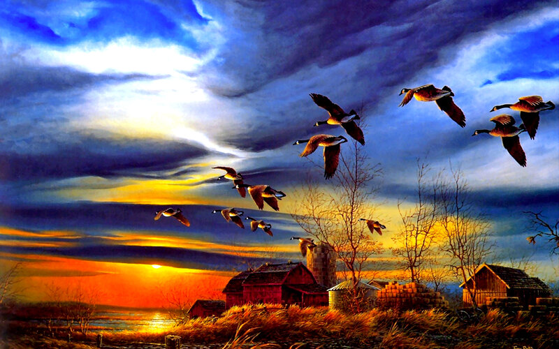 Geese Flying over Farm — Blue, Dramatic