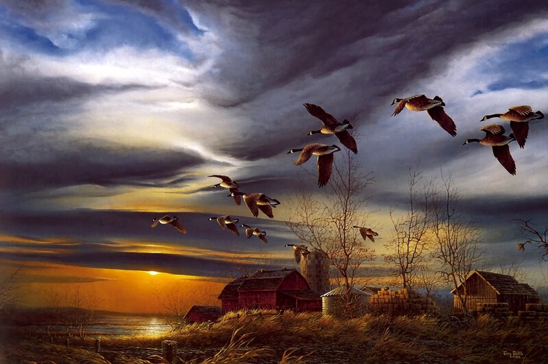 Geese Flying over Farm — Blue