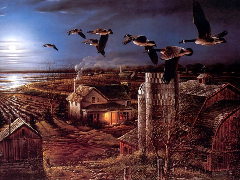 Geese Flying over Farm — Brown