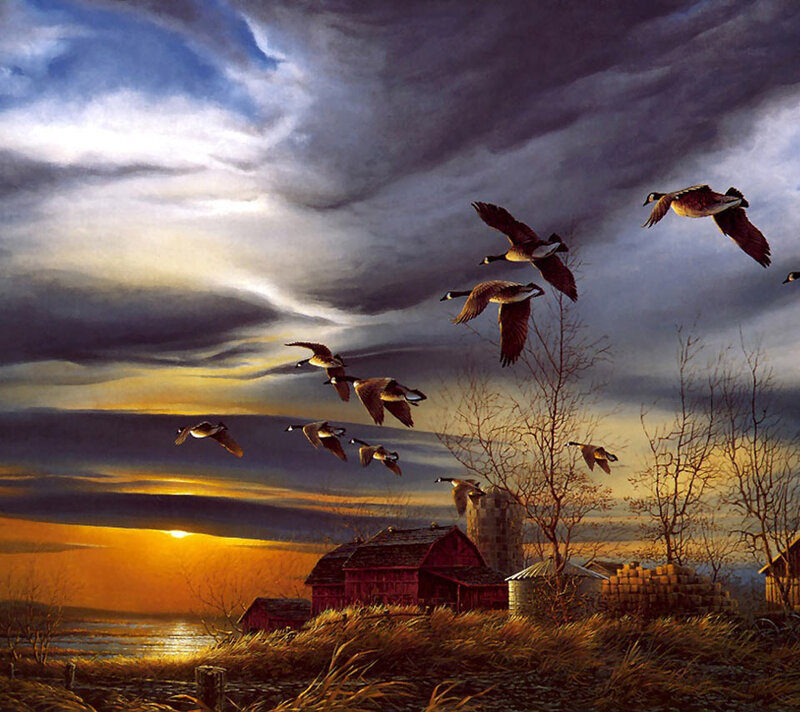 Geese Flying over Farm — Orange, Dramatic