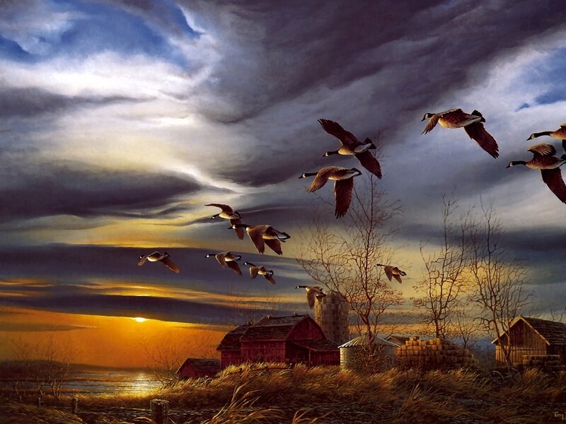 Geese Flying over Farm — Orange
