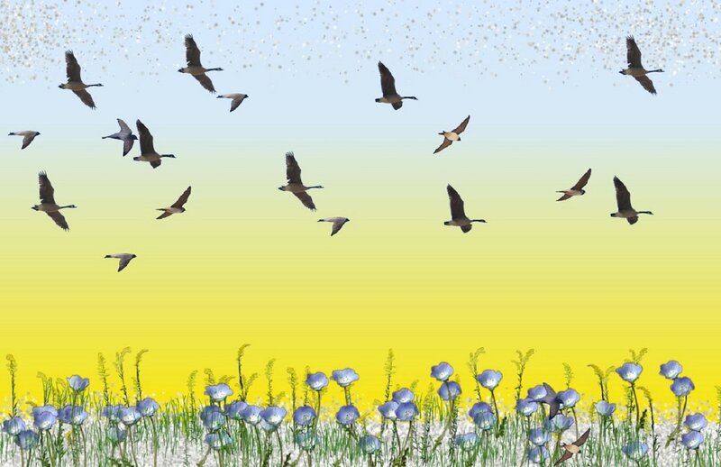 Geese Flying over Field — Yellow