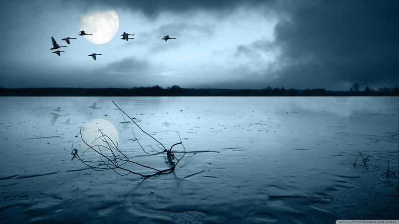Geese Flying over Frozen Lake — Blue