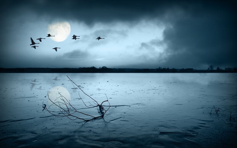 Geese Flying over Lake — Blue, Dramatic, Night, Photograph, Moon, Clouds