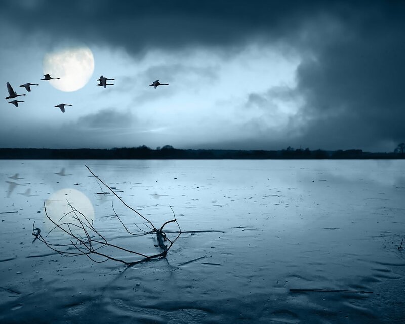 Geese Flying over Lake — Blue, Dramatic, Night, Photograph, Moon
