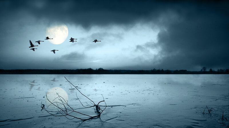 Geese Flying over Lake — Blue, Dramatic, Night, Photograph