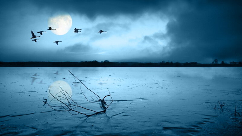 Geese Flying over Lake — Blue