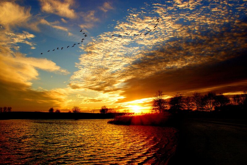 Geese Flying over Lake — Orange, Dramatic, Sunset