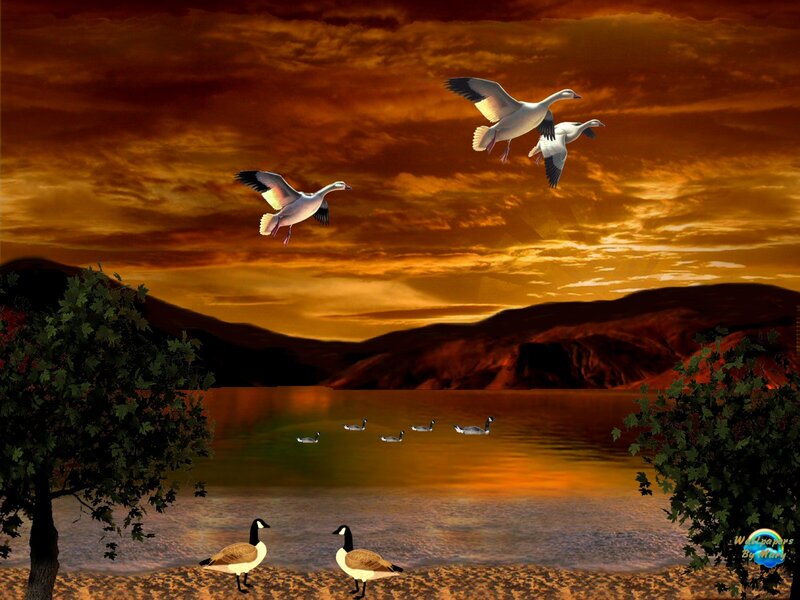 Geese Flying over Lake — Orange, Dramatic
