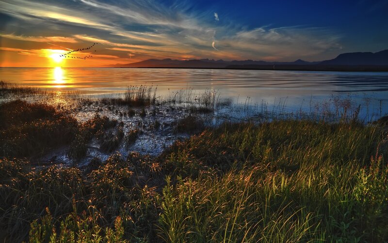 Geese Flying over Lake — Orange, Serene, Sunset, Photograph, Sun